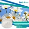 Food Grade Bulk Organic Apigenin Chamomile Flower Powder Chamomile Extract